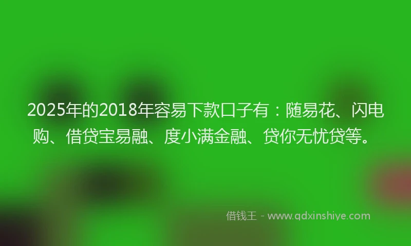 2025年的2018年容易下款口子有：随易花、闪电购、借贷宝易融、度小满金融、贷你无忧贷等。