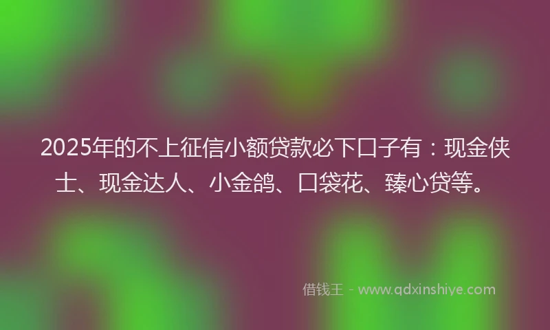 2025年的不上征信小额贷款必下口子有：现金侠士、现金达人、小金鸽、口袋花、臻心贷等。