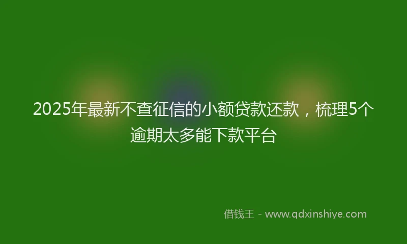 2025年最新不查征信的小额贷款还款，梳理5个逾期太多能下款平台
