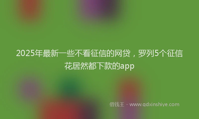 2025年最新一些不看征信的网贷，罗列5个征信花居然都下款的app