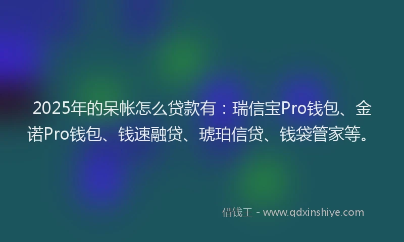 2025年的呆帐怎么贷款有：瑞信宝Pro钱包、金诺Pro钱包、钱速融贷、琥珀信贷、钱袋管家等。