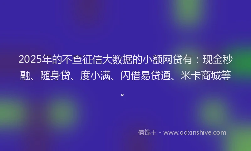 2025年的不查征信大数据的小额网贷有：现金秒融、随身贷、度小满、闪借易贷通、米卡商城等。