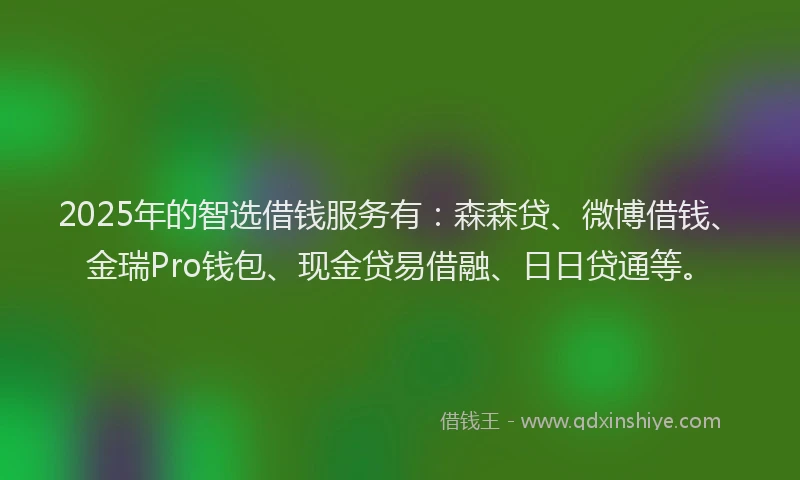 2025年的智选借钱服务有：森森贷、微博借钱、金瑞Pro钱包、现金贷易借融、日日贷通等。