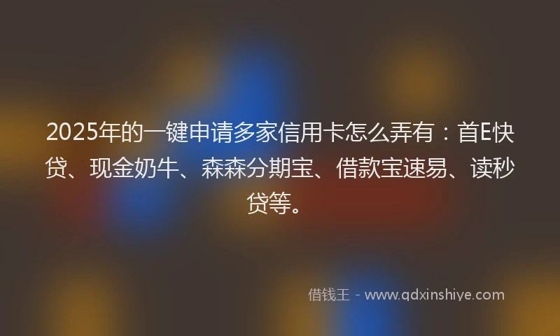 2025年的一键申请多家信用卡怎么弄有：首E快贷、现金奶牛、森森分期宝、借款宝速易、读秒贷等。