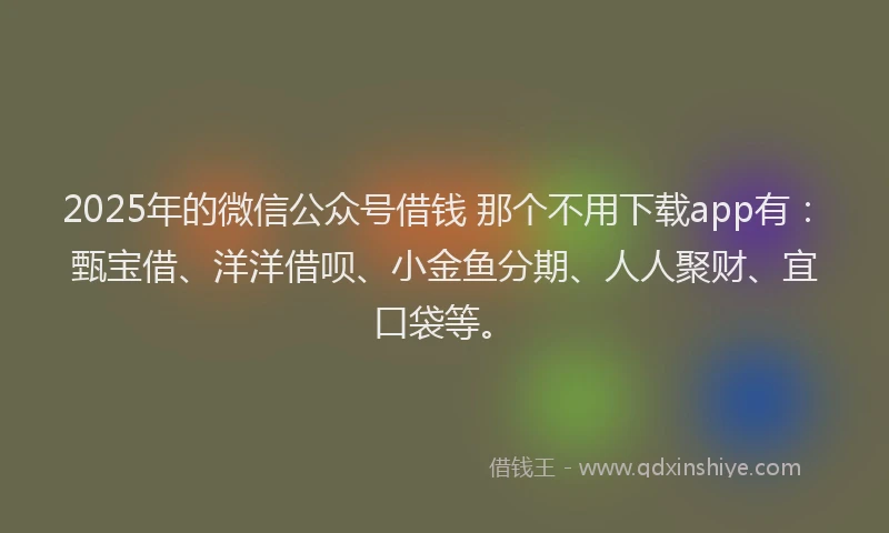 2025年的微信公众号借钱 那个不用下载app有：甄宝借、洋洋借呗、小金鱼分期、人人聚财、宜口袋等。