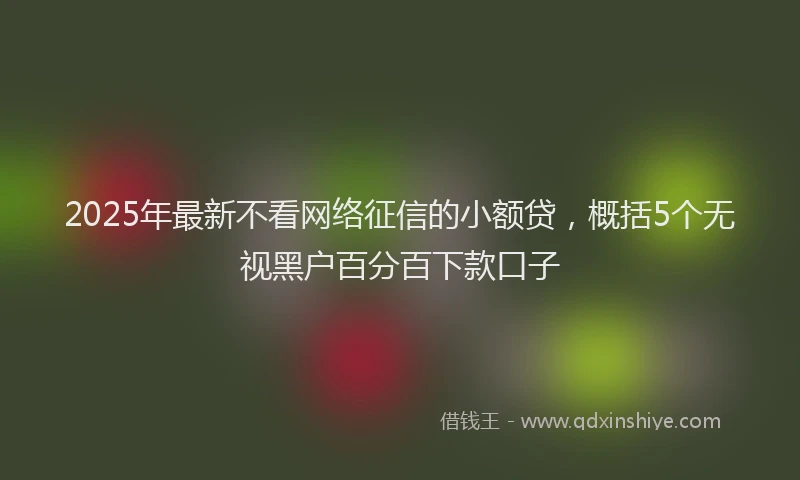 2025年最新不看网络征信的小额贷，概括5个无视黑户百分百下款口子