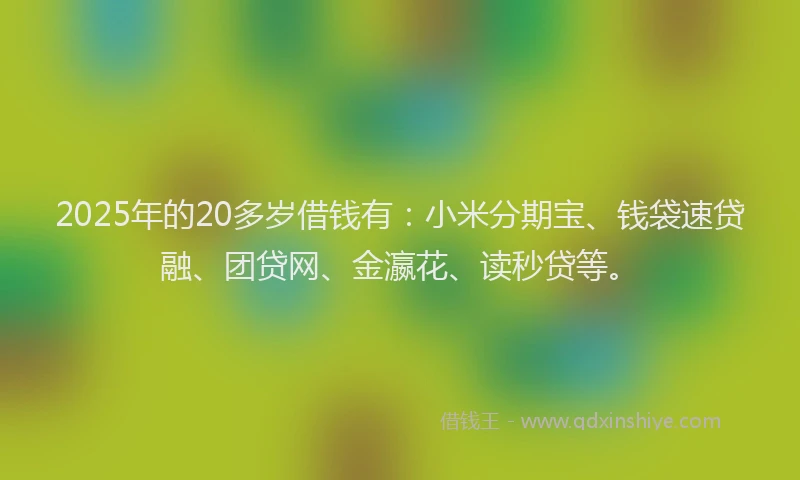 2025年的20多岁借钱有：小米分期宝、钱袋速贷融、团贷网、金瀛花、读秒贷等。