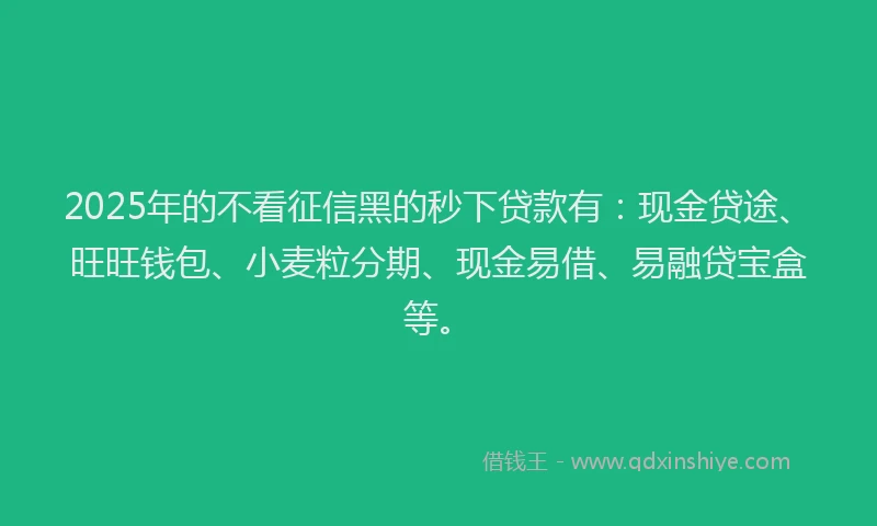 2025年的不看征信黑的秒下贷款有：现金贷途、旺旺钱包、小麦粒分期、现金易借、易融贷宝盒等。