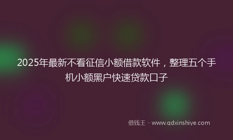 2025年最新不看征信小额借款软件，整理五个手机小额黑户快速贷款口子