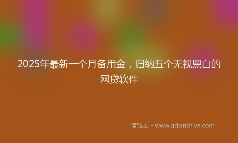 2025年最新一个月备用金，归纳五个无视黑白的网贷软件