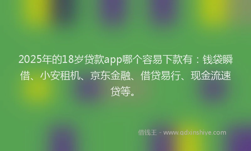 2025年的18岁贷款app哪个容易下款有：钱袋瞬借、小安租机、京东金融、借贷易行、现金流速贷等。