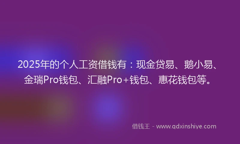 2025年的个人工资借钱有：现金贷易、鹅小易、金瑞Pro钱包、汇融Pro+钱包、惠花钱包等。