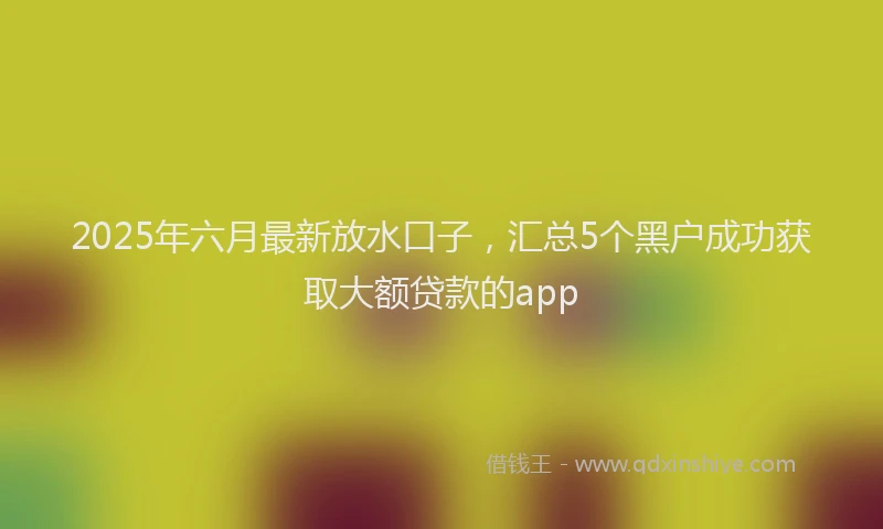 2025年六月最新放水口子，汇总5个黑户成功获取大额贷款的app