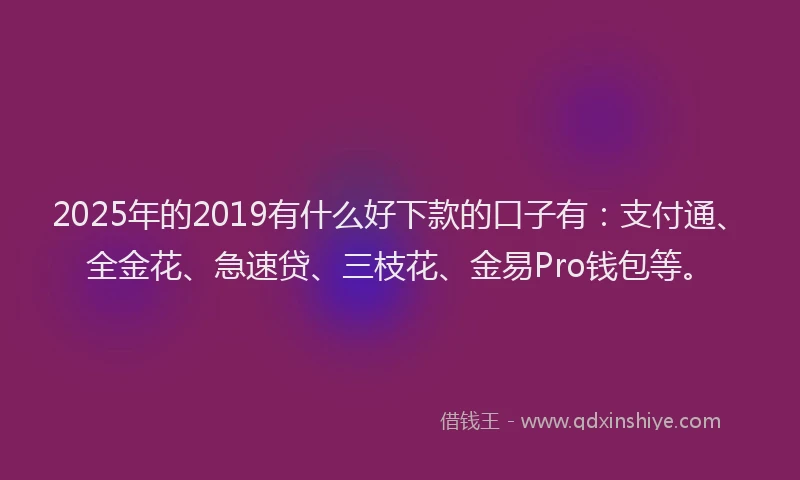 2025年的2019有什么好下款的口子有：支付通、全金花、急速贷、三枝花、金易Pro钱包等。