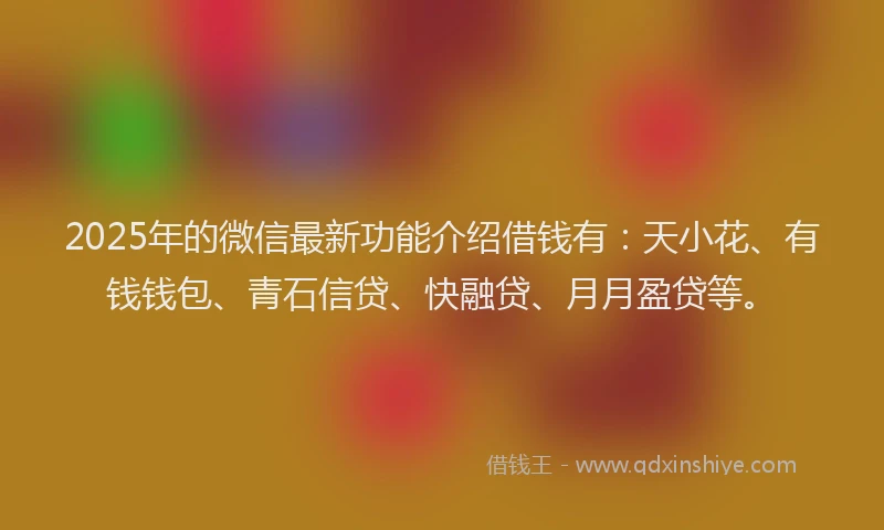 2025年的微信最新功能介绍借钱有：天小花、有钱钱包、青石信贷、快融贷、月月盈贷等。