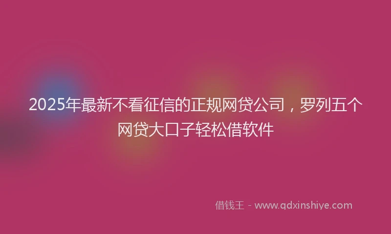 2025年最新不看征信的正规网贷公司，罗列五个网贷大口子轻松借软件