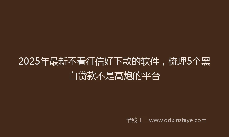 2025年最新不看征信好下款的软件，梳理5个黑白贷款不是高炮的平台