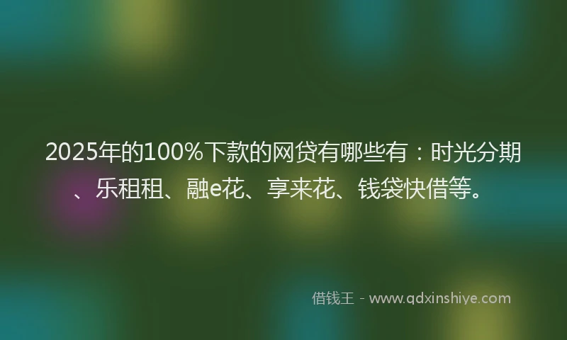 2025年的100%下款的网贷有哪些有：时光分期、乐租租、融e花、享来花、钱袋快借等。
