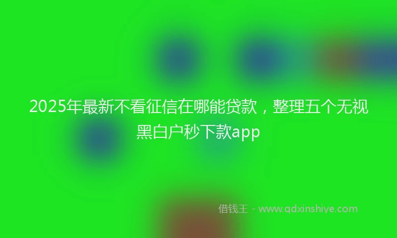 2025年最新不看征信在哪能贷款，整理五个无视黑白户秒下款app