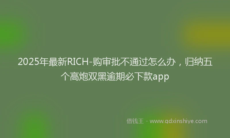 2025年最新RICH-购审批不通过怎么办，归纳五个高炮双黑逾期必下款app