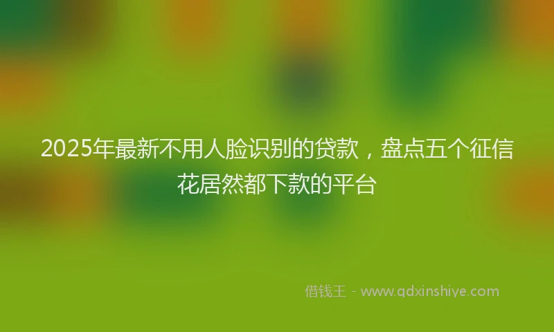 2025年最新不用人脸识别的贷款，盘点五个征信花居然都下款的平台