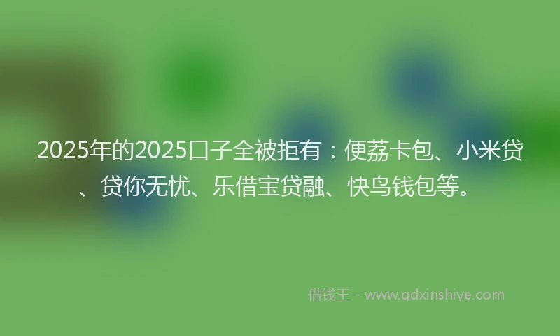 2025年的2025口子全被拒有：便荔卡包、小米贷、贷你无忧、乐借宝贷融、快鸟钱包等。