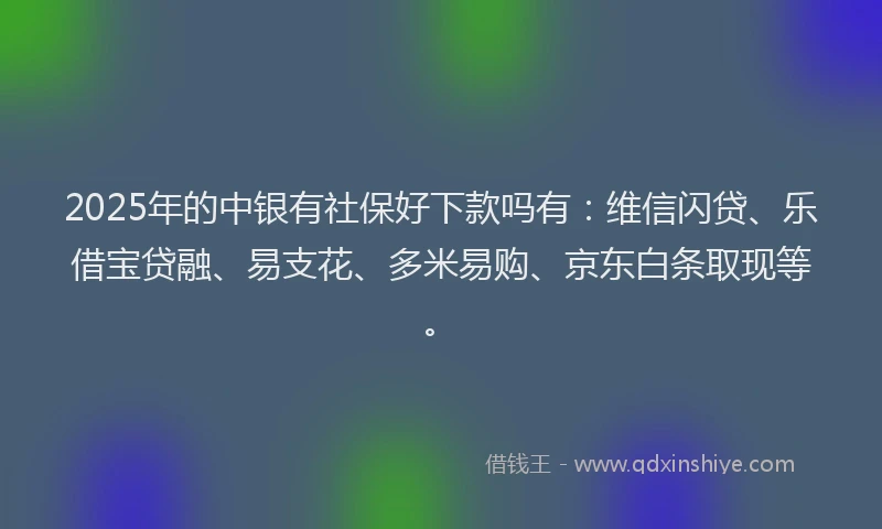2025年的中银有社保好下款吗有：维信闪贷、乐借宝贷融、易支花、多米易购、京东白条取现等。