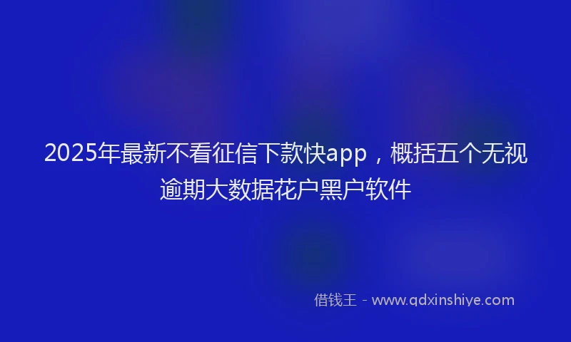 2025年最新不看征信下款快app，概括五个无视逾期大数据花户黑户软件