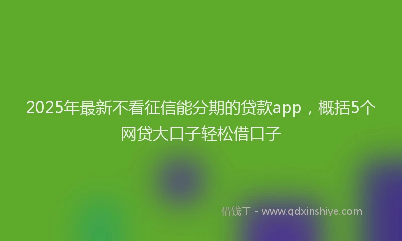 2025年最新不看征信能分期的贷款app，概括5个网贷大口子轻松借口子