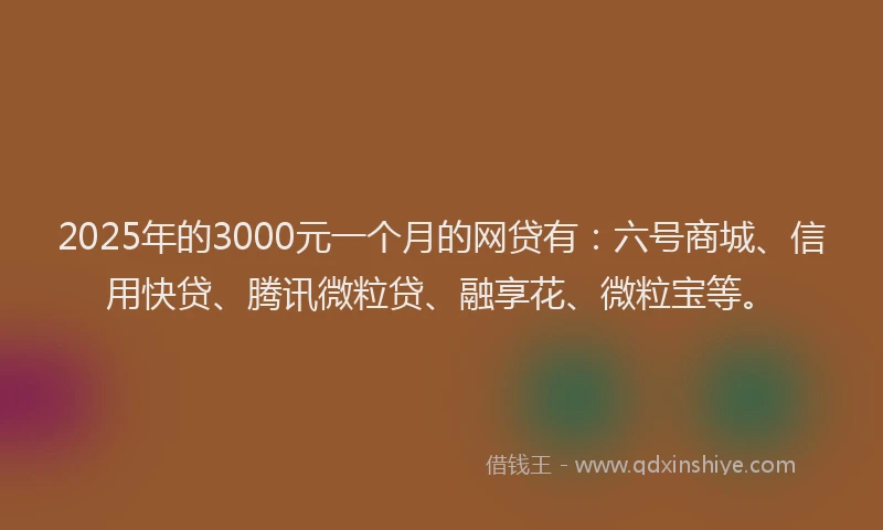 2025年的3000元一个月的网贷有：六号商城、信用快贷、腾讯微粒贷、融享花、微粒宝等。