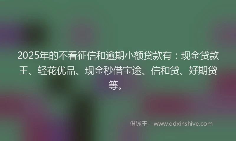 2025年的不看征信和逾期小额贷款有：现金贷款王、轻花优品、现金秒借宝途、信和贷、好期贷等。