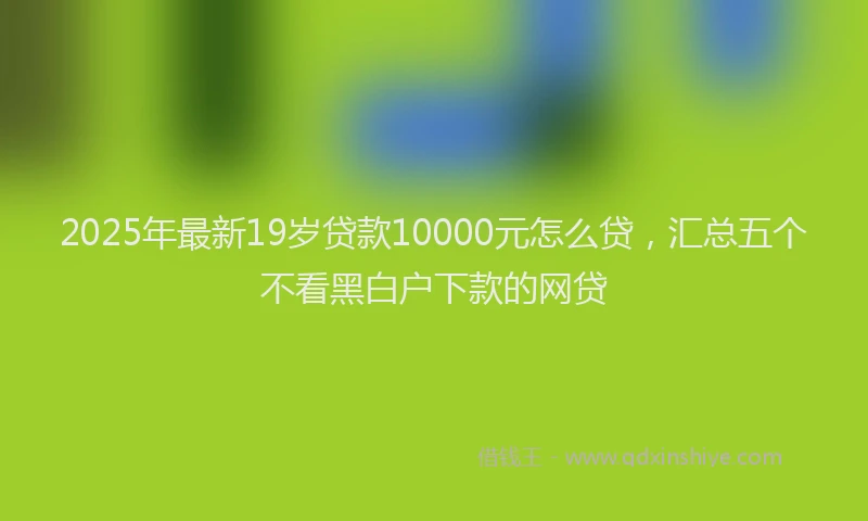 2025年最新19岁贷款10000元怎么贷，汇总五个不看黑白户下款的网贷