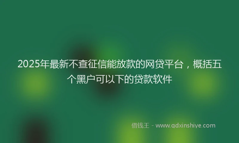 2025年最新不查征信能放款的网贷平台，概括五个黑户可以下的贷款软件