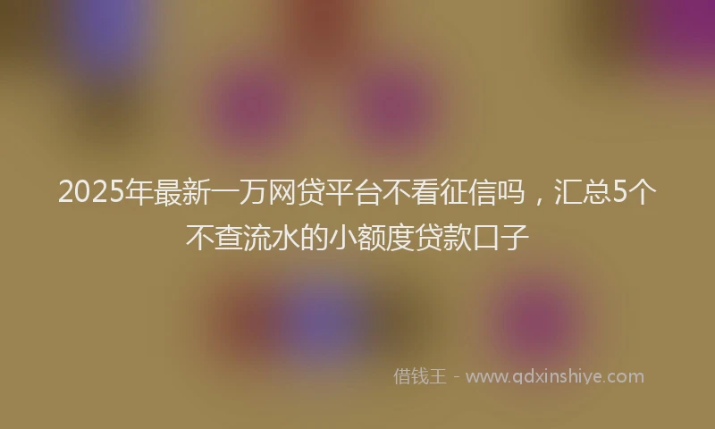2025年最新一万网贷平台不看征信吗，汇总5个不查流水的小额度贷款口子