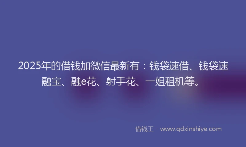 2025年的借钱加微信最新有：钱袋速借、钱袋速融宝、融e花、射手花、一姐租机等。