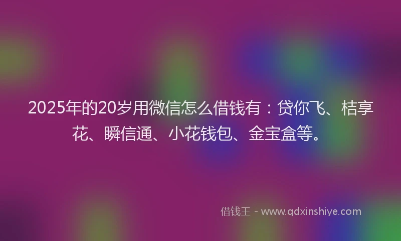2025年的20岁用微信怎么借钱有：贷你飞、桔享花、瞬信通、小花钱包、金宝盒等。