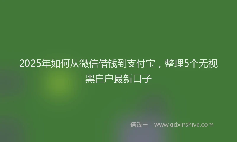 2025年如何从微信借钱到支付宝，整理5个无视黑白户最新口子