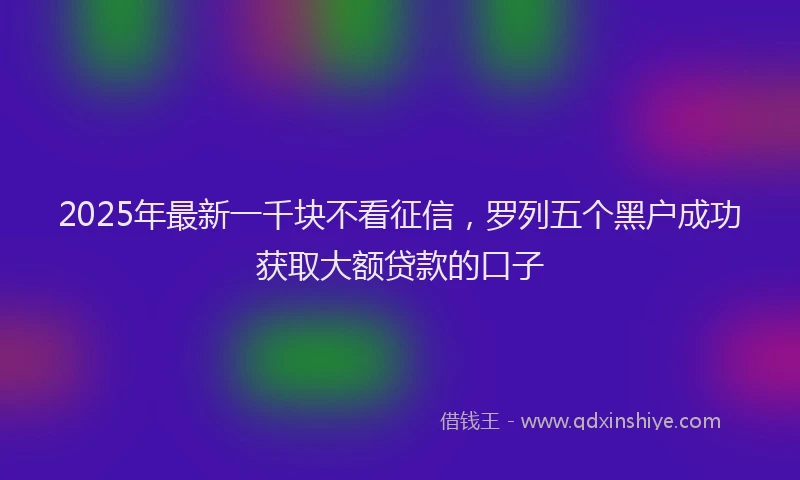 2025年最新一千块不看征信，罗列五个黑户成功获取大额贷款的口子