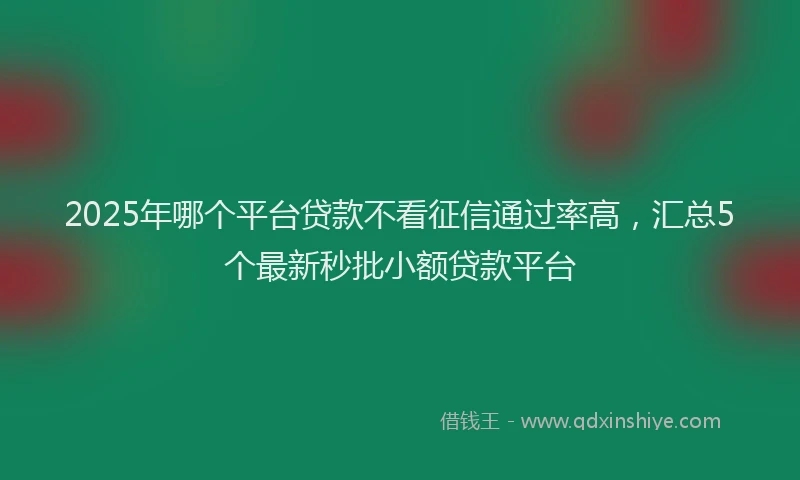 2025年哪个平台贷款不看征信通过率高，汇总5个最新秒批小额贷款平台