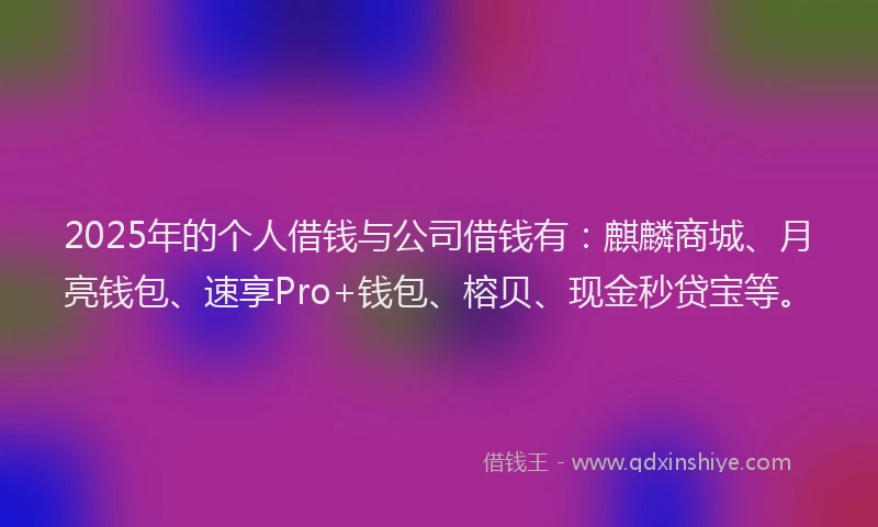 2025年的个人借钱与公司借钱有：麒麟商城、月亮钱包、速享Pro+钱包、榕贝、现金秒贷宝等。