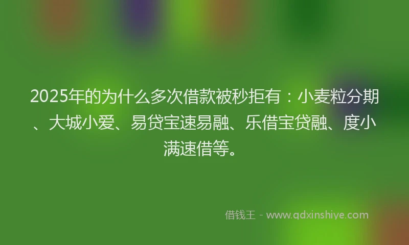 2025年的为什么多次借款被秒拒有：小麦粒分期、大城小爱、易贷宝速易融、乐借宝贷融、度小满速借等。