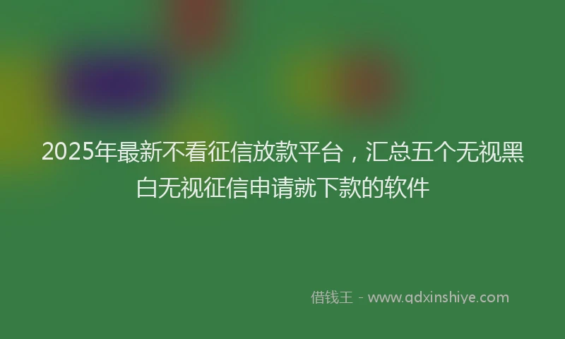 2025年最新不看征信放款平台，汇总五个无视黑白无视征信申请就下款的软件
