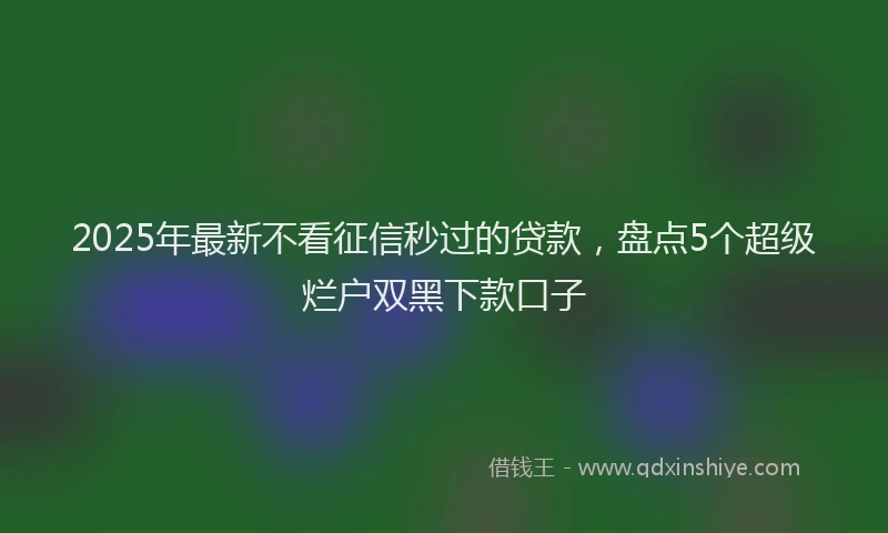 2025年最新不看征信秒过的贷款，盘点5个超级烂户双黑下款口子