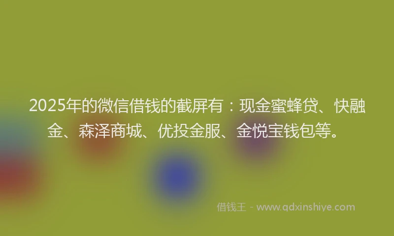 2025年的微信借钱的截屏有：现金蜜蜂贷、快融金、森泽商城、优投金服、金悦宝钱包等。