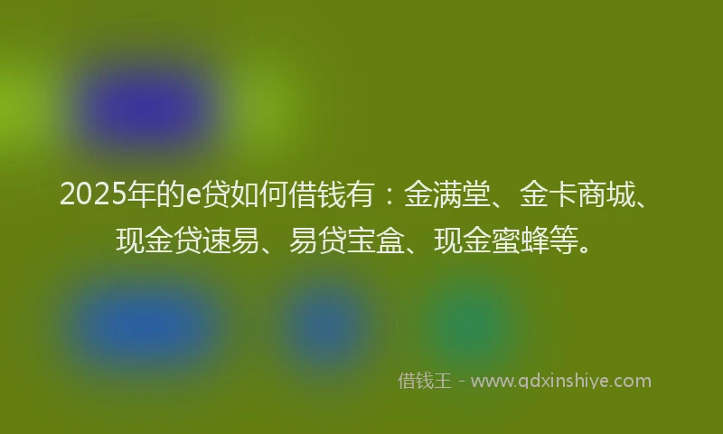 2025年的e贷如何借钱有：金满堂、金卡商城、现金贷速易、易贷宝盒、现金蜜蜂等。