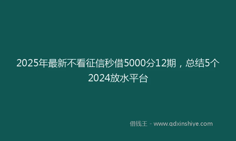 2025年最新不看征信秒借5000分12期，总结5个2024放水平台