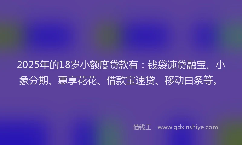 2025年的18岁小额度贷款有：钱袋速贷融宝、小象分期、惠享花花、借款宝速贷、移动白条等。