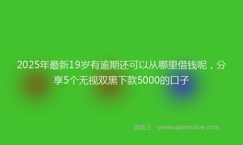 2025年最新19岁有逾期还可以从哪里借钱呢，分享5个无视双黑下款5000的口子