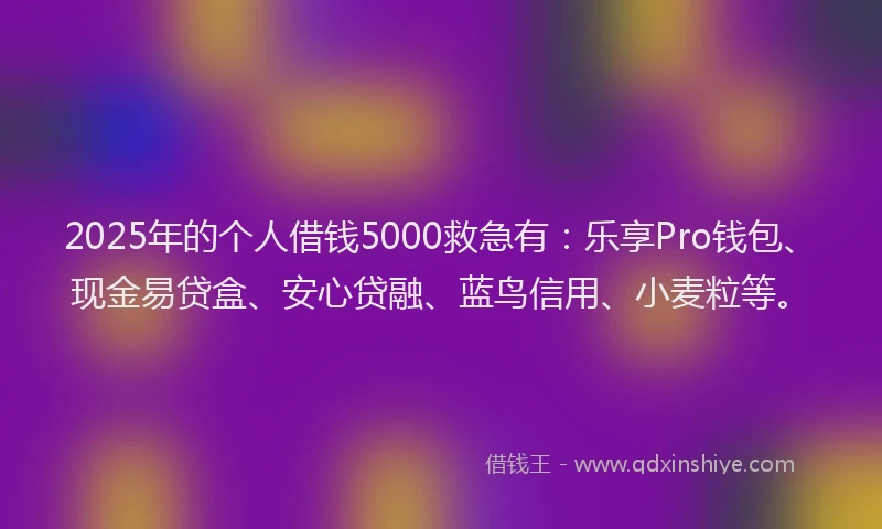 2025年的个人借钱5000救急有：乐享Pro钱包、现金易贷盒、安心贷融、蓝鸟信用、小麦粒等。