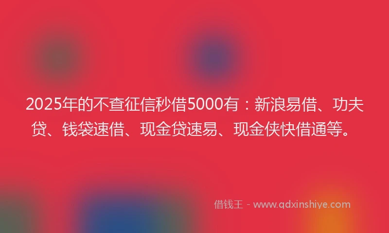 2025年的不查征信秒借5000有：新浪易借、功夫贷、钱袋速借、现金贷速易、现金侠快借通等。